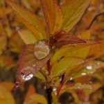 欲盖弄潮高清在线 1u3x7z52