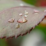 日本在线黄页视频观看 71y8ow7