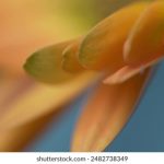 综合AV第1页 8ejdnfr565