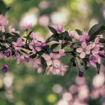 亚洲国产在线观看在5388 d90536t