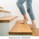 日本处XXXX19 edde2l1