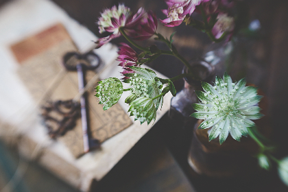 年轻的母亲4韩剧免费中文版 年轻的母亲4韩剧免费中文版