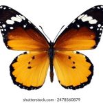 给大家推荐永久免费的服务器 h6go976hi