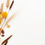 日本大片免费观看视频 k29c0a1