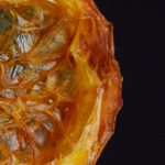 年轻的母亲2 pwgeh15