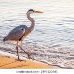 亚洲国产精品无码中文字幕 sbqy6nr99i