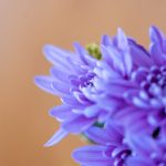 YouTube网页版登陆入口:轻松访问你的频道与视频内容指南 cak32mk