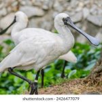 YouTube视频下载:轻松获取高清影片的最佳方法与技巧 ga2n3a5