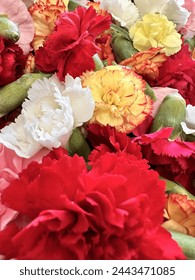 五十度飞 在线观看:探索激情与禁忌的极致体验 五十度飞 在线观看:探索激情与禁忌的极致体验